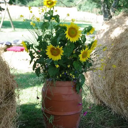 Farm stay Agriturismo Fra Viaco *